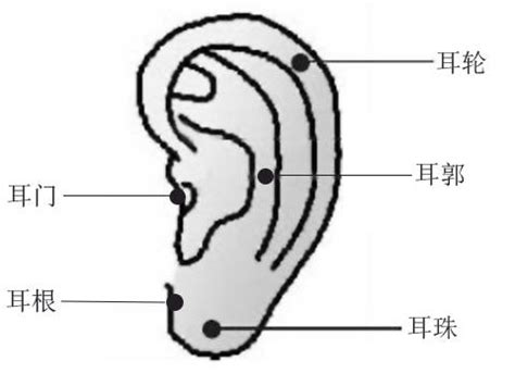 耳屏有痣的男人|耳朵长痣的位置图解 耳朵长痣的位置图解有福气